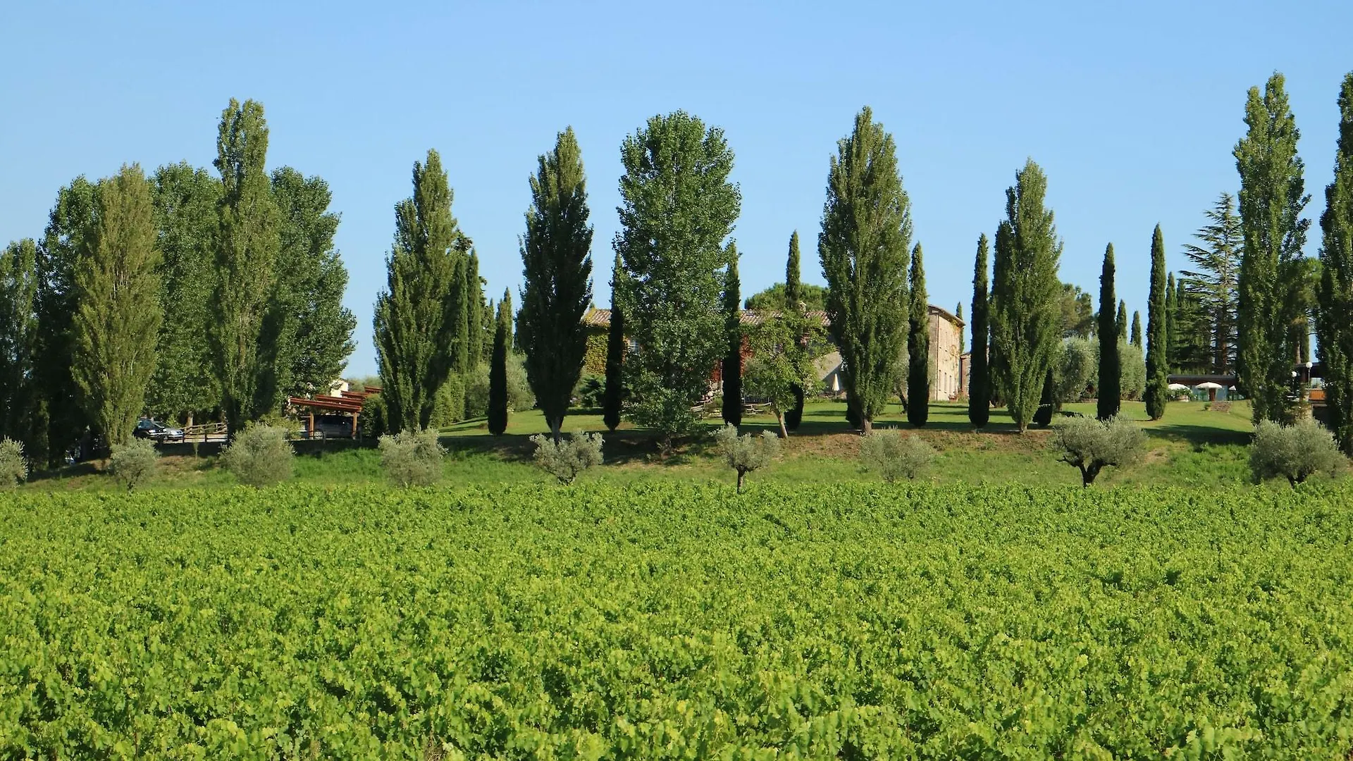 Agriturismo La Sovana Hotel Sarteano